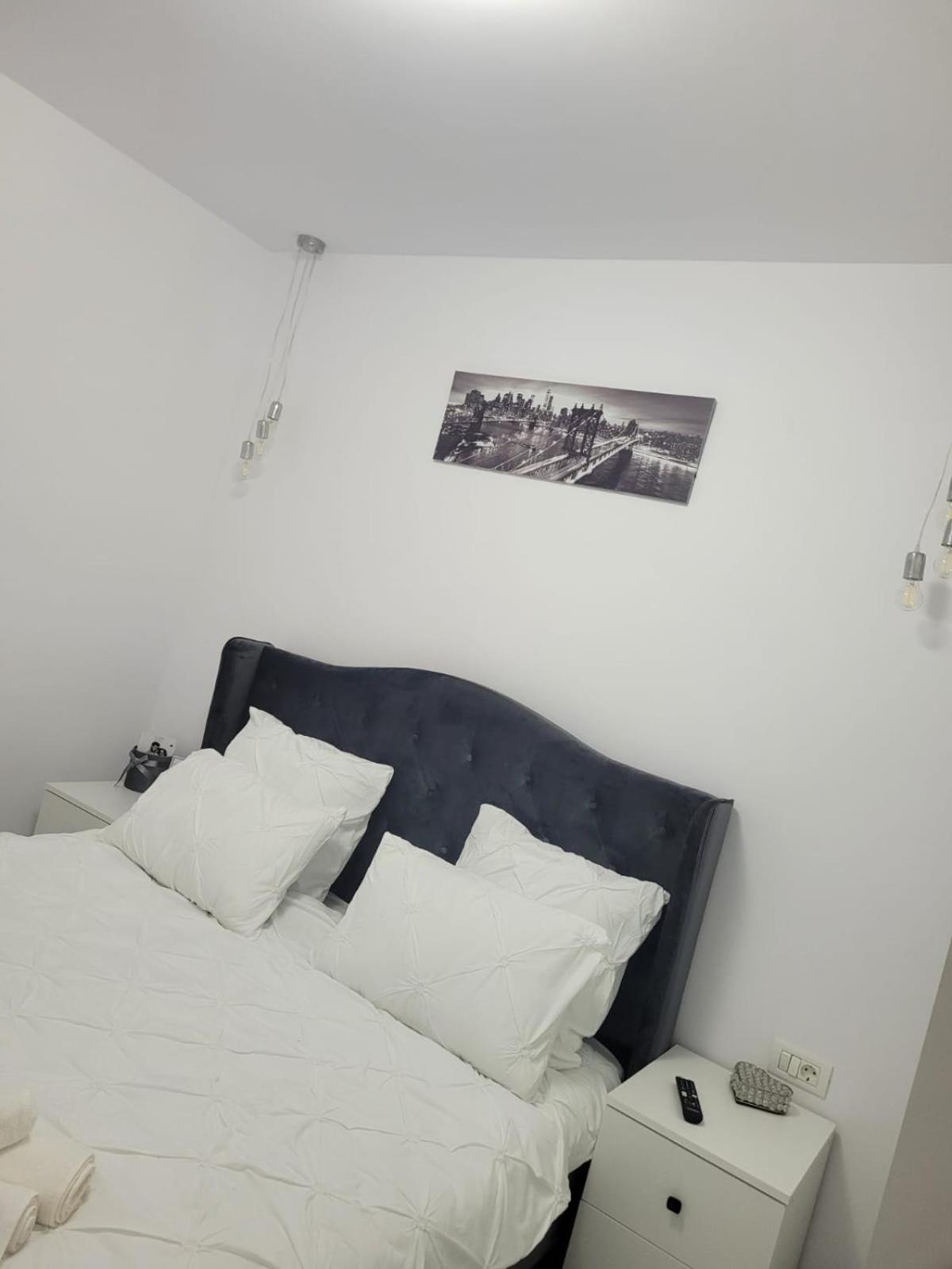 Tag Apartament Timisoara Esterno foto